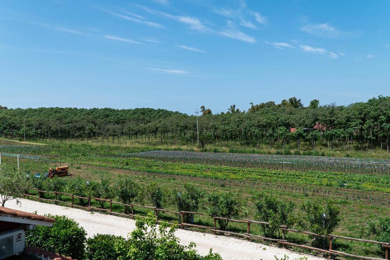 Agriturismo Il Casale Ponte Galeria Eksteriør bilde